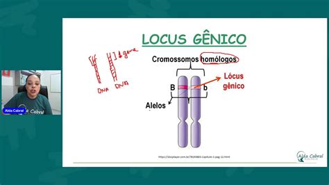lokcos|o que é locos.